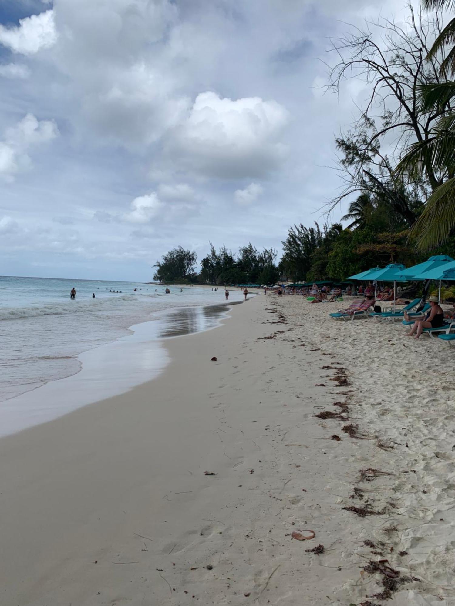 316 Moonshine Apartment Bridgetown Bagian luar foto
