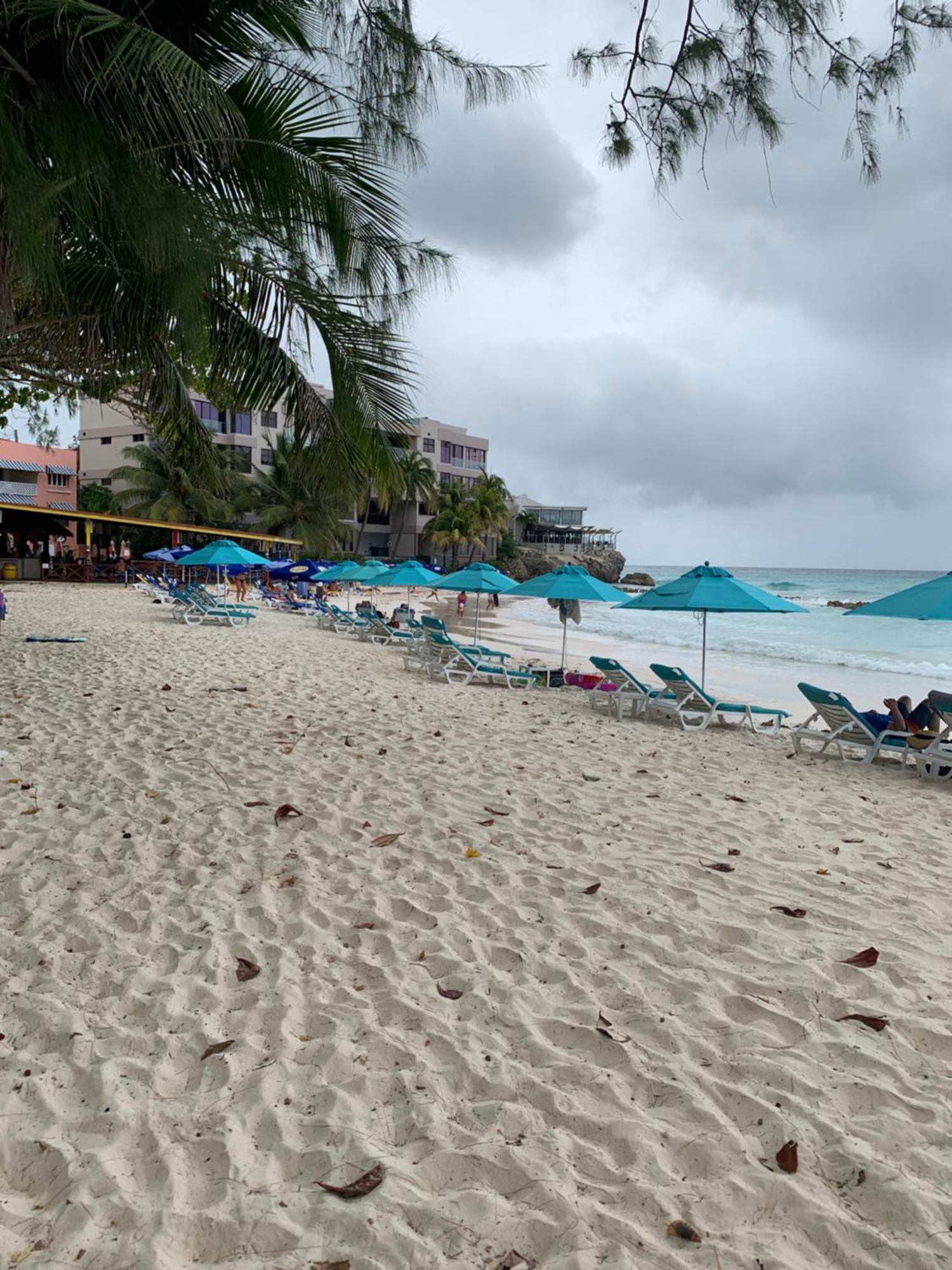 316 Moonshine Apartment Bridgetown Bagian luar foto